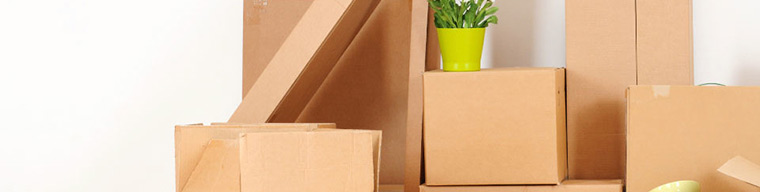 Ambalaj Endüstrisi Danışmanlığı