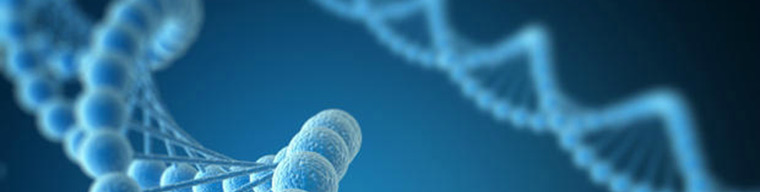 Avrupa Birliği Biyosit Düzenleme Hizmetleri