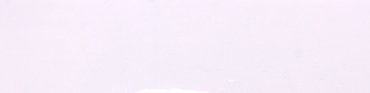 Avrupa Birliği Deterjan Düzenleme Hizmetleri