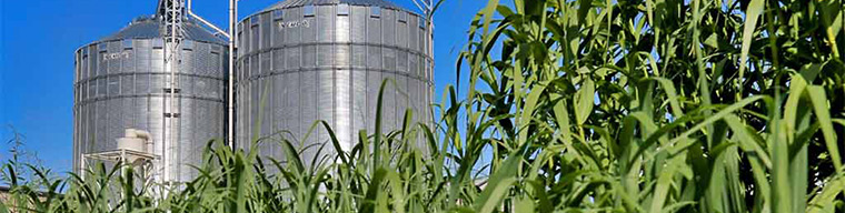 Avrupa'da Biyokütle Yakıtları Testi