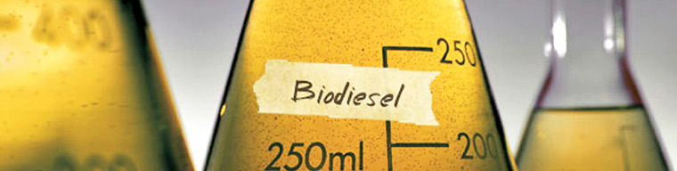 Biyodizel Testi