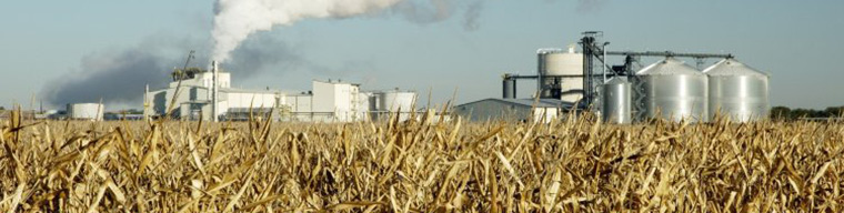 Biyokütle Yakıt Testi