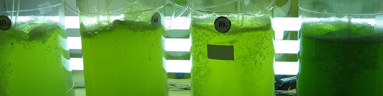 Biyoyakıt Pelet Testi