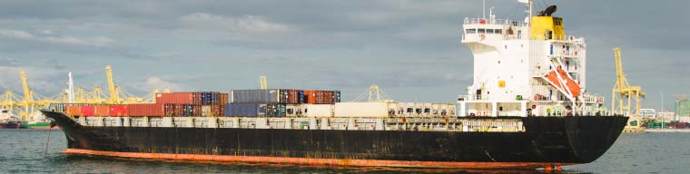 Deniz Ürünleri Testi