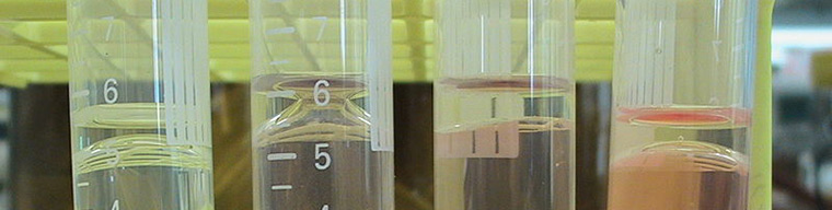 Dispersanlar Analizi