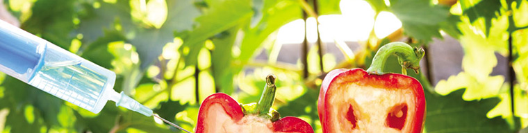 Genetiği Değiştirilmiş Organizmalar (GDO) Servisleri