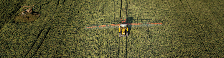 Genetiği Değiştirilmiş Organizmalar (GDO) Testi ve Sertifikasyonu