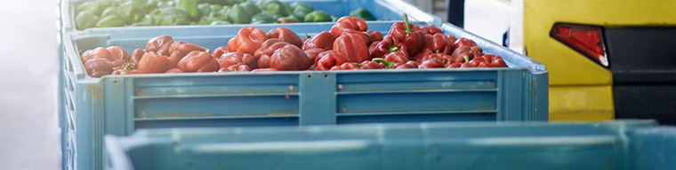 Gıda Fiziksel Güvenlik Analizi