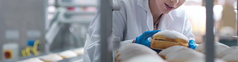 Gıda Kalitesi ve Güvenlik Uyum Değerlendirmesi