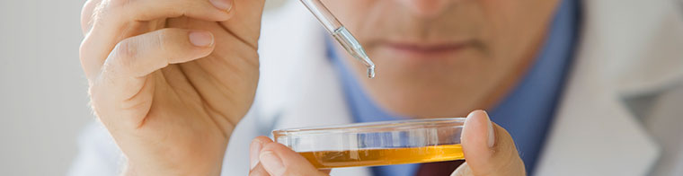 Gıda Mikrobiyolojik Test Hizmetleri