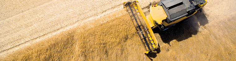 Global GAP İyi Tarım Uygulama Sertifikası