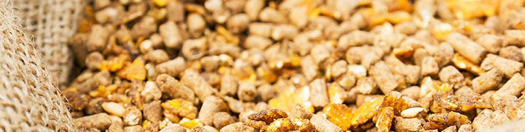 Hayvan Yemi Test ve Muayenesi