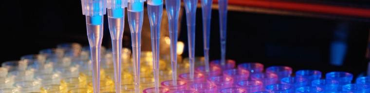 İmmünokimya Hizmetleri