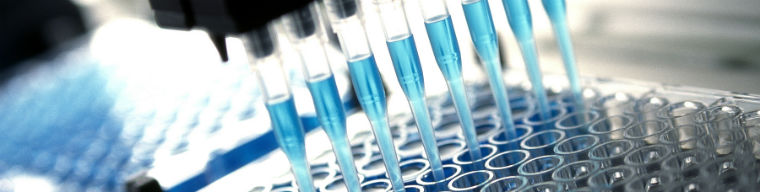 Keşif Aşaması Biyoanaliz Servisleri