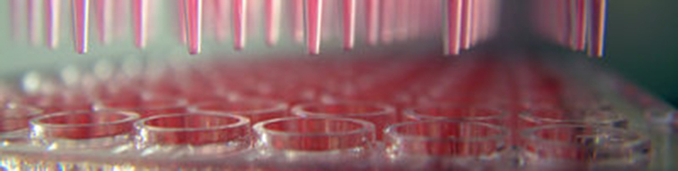 REACH veya Diğer Düzenleyici Gönderiler için Fiziko-Kimyasal Özellik Testi