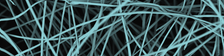 Rejeneratif Tıp Analiz ve Geliştirme Desteği