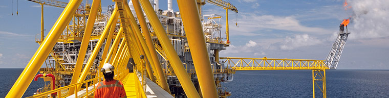 Varlık Bütünlüğü Yönetimi Hizmetleri