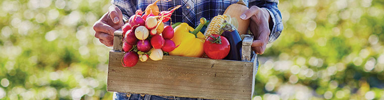 Yiyecek Artıkları ve Kontaminasyon