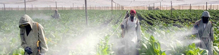 Zirai İlaç Düzenleme Danışmanlığı ve Analizi